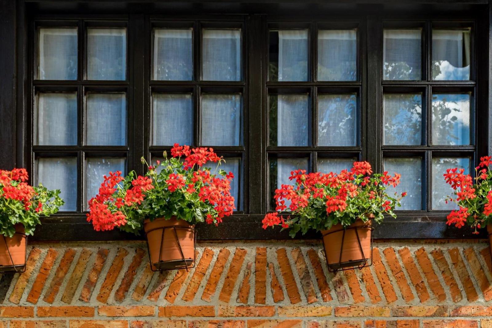 La Posada De Langre المظهر الخارجي الصورة